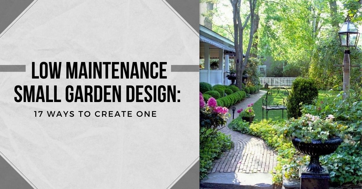 low-maintenance-small-garden-design